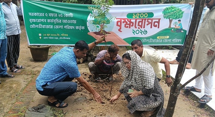 মৌলভীবাজার জেলা পরিষদ কর্তৃক বৃক্ষরোপন কর্মসূচীর উদ্বোধন